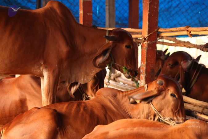 20130518 Photo 1043 1i9tjSy4RyAk-QZJhWMj1J8URNN7Wd6ud.JPG