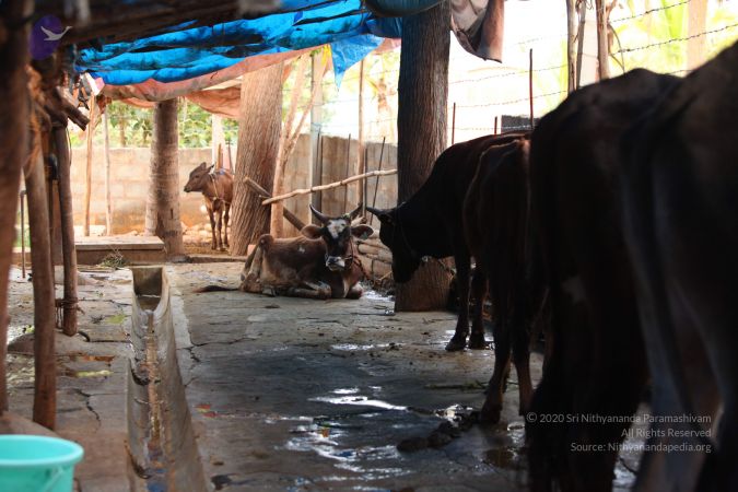 20130518 Photo 1054 1EKoIm7oSvBCD5K 3jARW7kv1pzRXLv6n.JPG