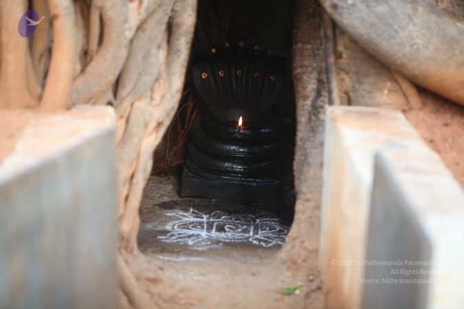 20130518 Photo 1055 1CFJ3qWxFx4C xd0c0rjc7Wy8MurKNcw6.JPG