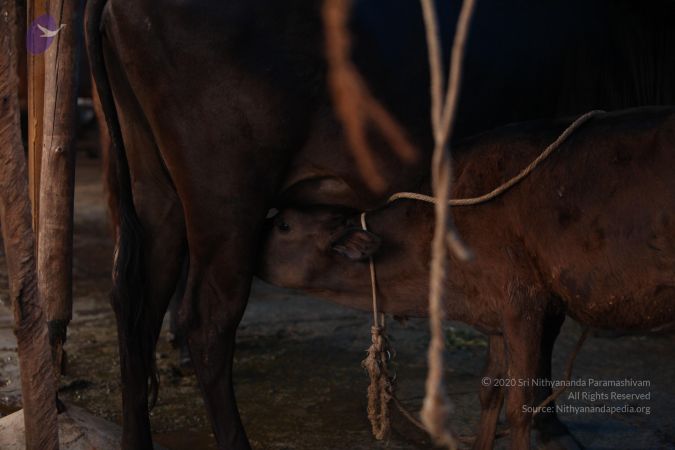 20130518 Photo 1056 1Zg f8mLpFDqmvi1fUP9 lmVHK4bPU 58.JPG