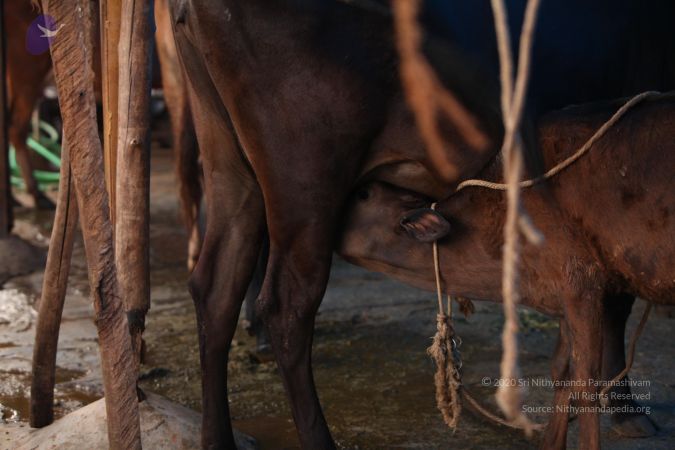 20130518 Photo 1057 1uO3Nt9KerxTEugJ5oZTs9ANKrP-S9mVZ.JPG