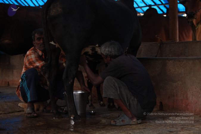 20130518 Photo 1068 1y2LlOPpSiMlcqBNfV2OTgYXBGMOll6fe.JPG