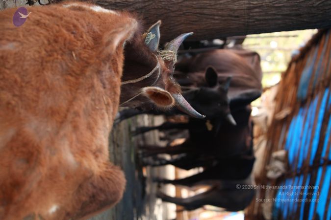 20130518 Photo 1070 11cg7YBDM9bNT96qd4pNHjGigy7fEOpMz.JPG