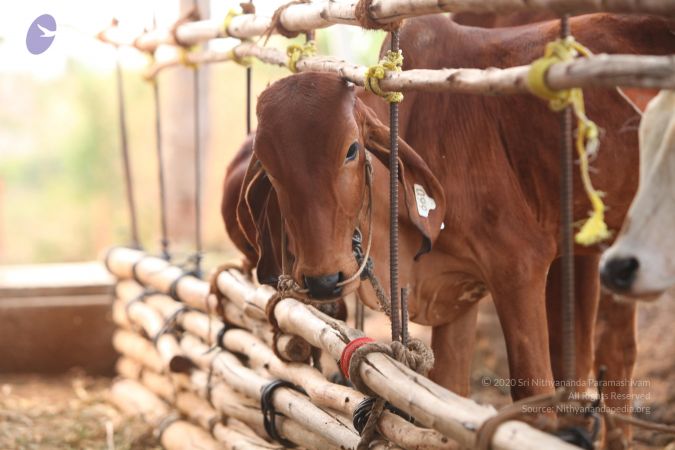 20130518 Photo 1074 1hlS71Wr00tlEIff3ni50NCa42d7uf0va.JPG