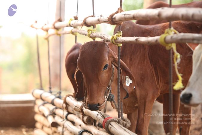 20130518 Photo 1075 19sadIZeN6dQZ45R3-lfGYnrvAVKlVUPz.JPG