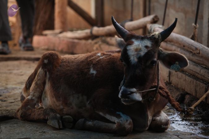 20130518 Photo 1079 1dk4HxNIB1Du9yz1fMHQUd7NiU3FdvpPh.JPG