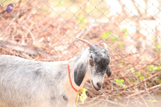 20130518 Photo 1080 18FM7nvDJf50nVgAN7-5SeMp9PhFd gHa.JPG