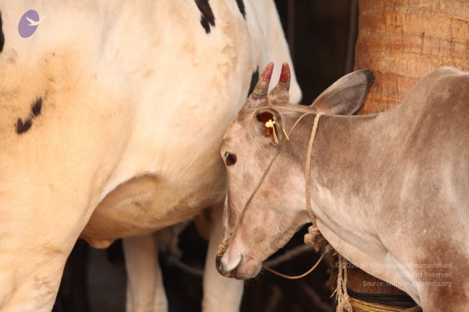 20130518 Photo 1082 1lMHU3mwdRWpPswuY6m JlfgWp44lK7Es.JPG