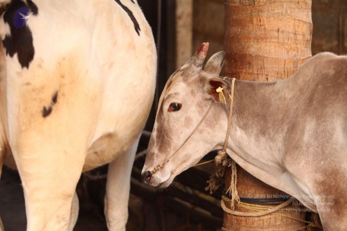 20130518 Photo 1085 1kQG2kJ2CArpnpG-y4v3wWxjw2Ov7NB9K.JPG