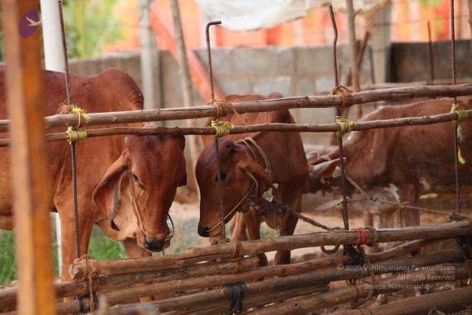 20130518 Photo 1087 16wdQE-xXrn2g0Xd6XvWkX6 IZ XfZDU8.JPG