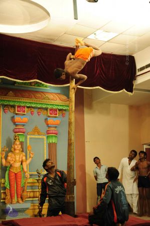 20130519 Photo 1579 1D6nosNEdD0Xc3lgAjzwcNk7htUMrgUty.JPG