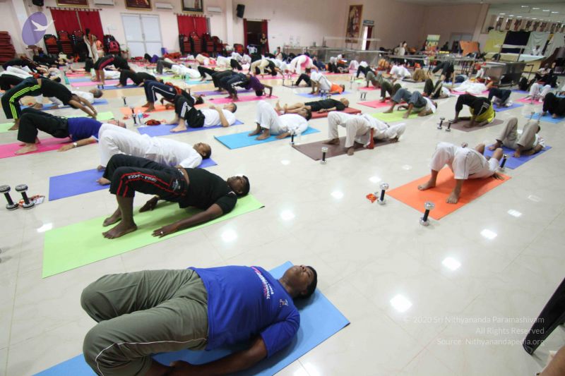 File:20130525 Photo 1003 19tb9irQuyD4JwuETvu4jckqE7ci mmH9.JPG