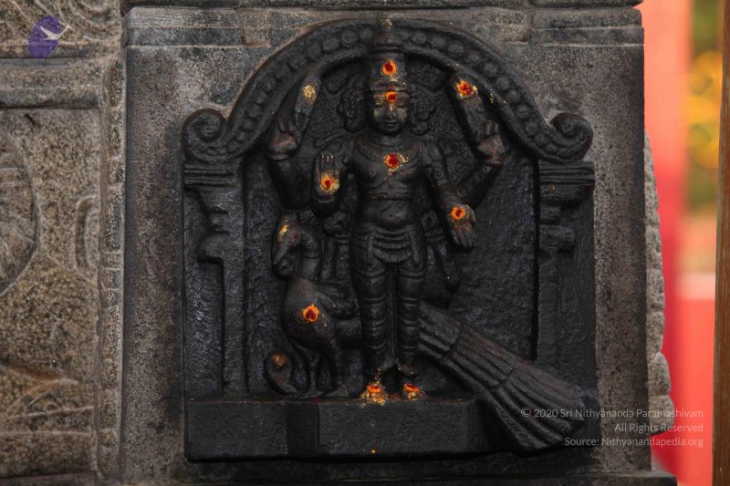 File:20130525 Photo 1125 1e64gEJBAJ7sntFIOF2iuKcwgso jt9G0.JPG