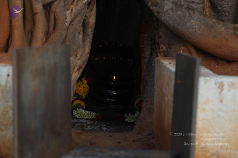 File:20130525 Photo 1126 1RR2Y1kshoKyVdbXdu lUbGy86pPN51Is.JPG