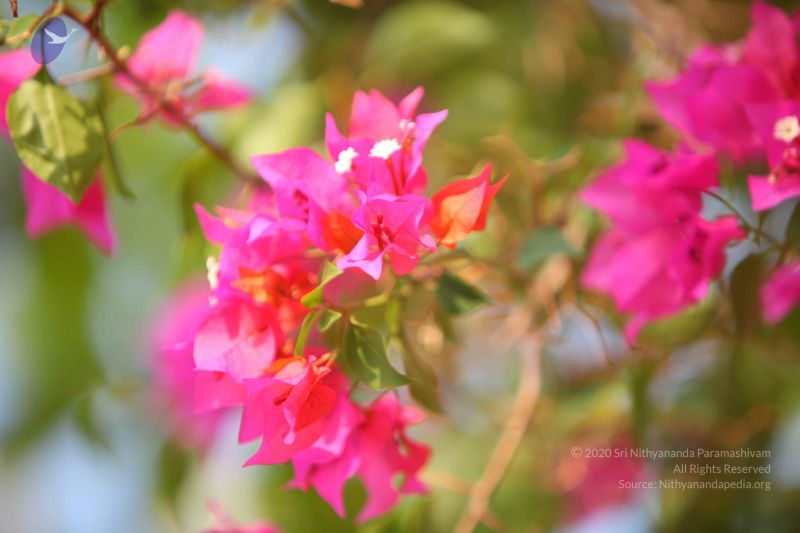 File:20130526 Photo 1128 1-ROfbz8FI5VcScVZwe45-67oWftIv K9.JPG