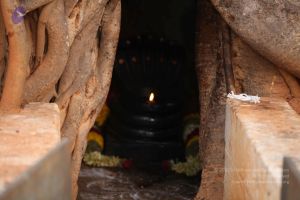 20130526 Photo 1141 1mR98uG77ghqDgc1Cvwrs8Ti6gln6ht-i.JPG