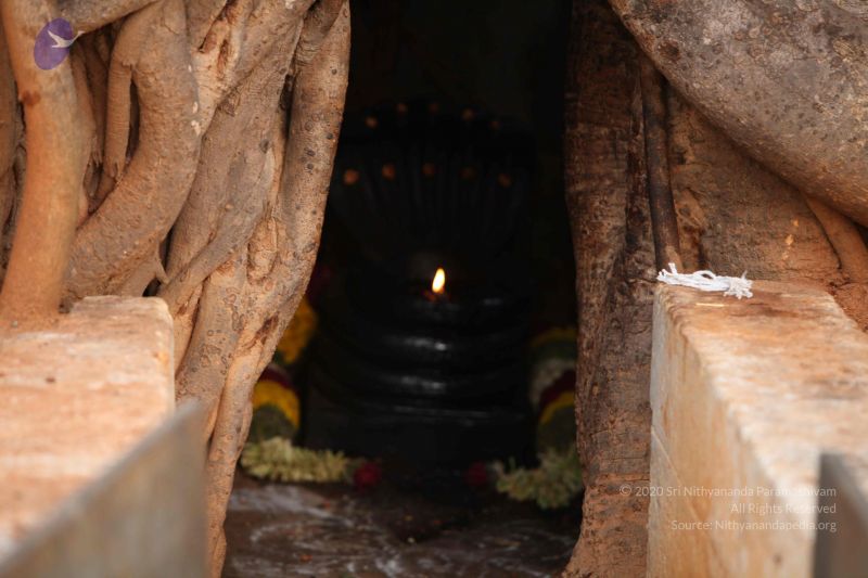 File:20130526 Photo 1141 1mR98uG77ghqDgc1Cvwrs8Ti6gln6ht-i.JPG