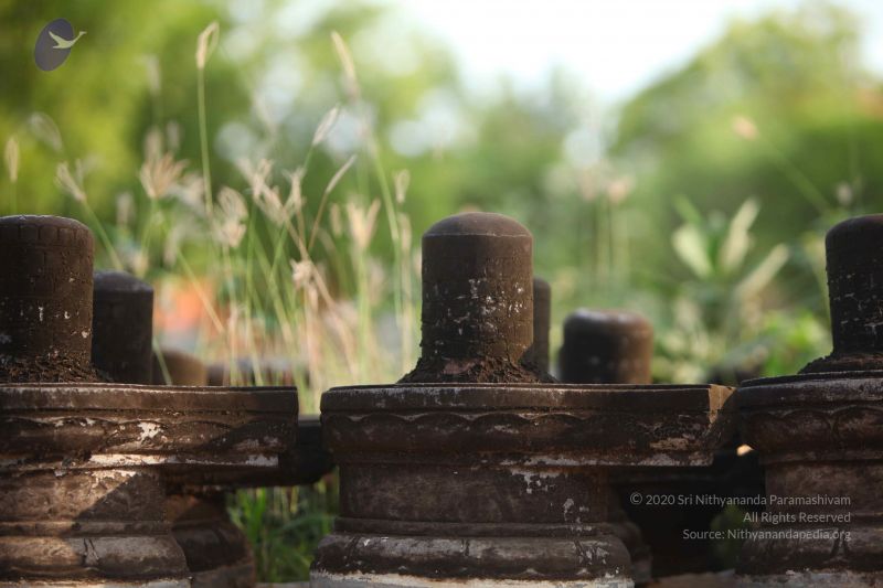 File:20130526 Photo 1157 1UesTzc92sm4jHMPh2F5aaY2qVscoiFxV.JPG