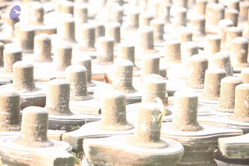 File:20130526 Photo 1159 1Pi1pwZuP8Ump-VhLAHKnONhP3SBv4M93.JPG