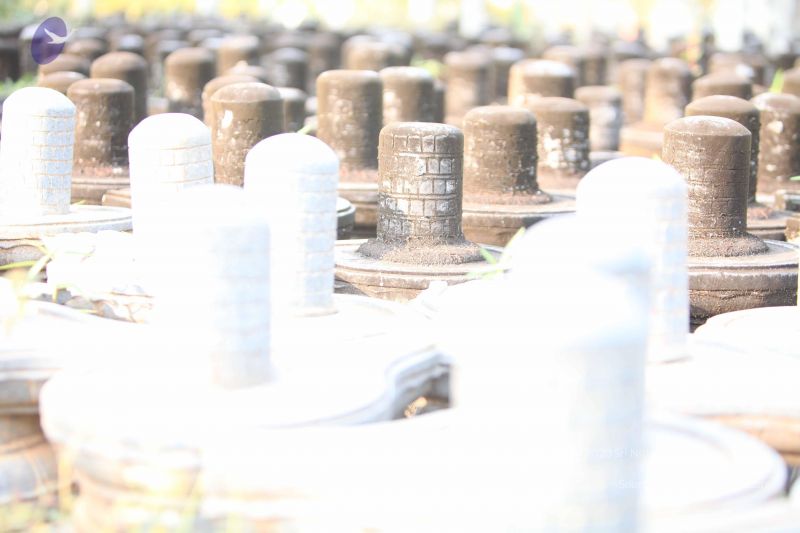 File:20130526 Photo 1161 1wP8ff4amV1HnEJTpZZMwmx7hLGPrTrox.JPG