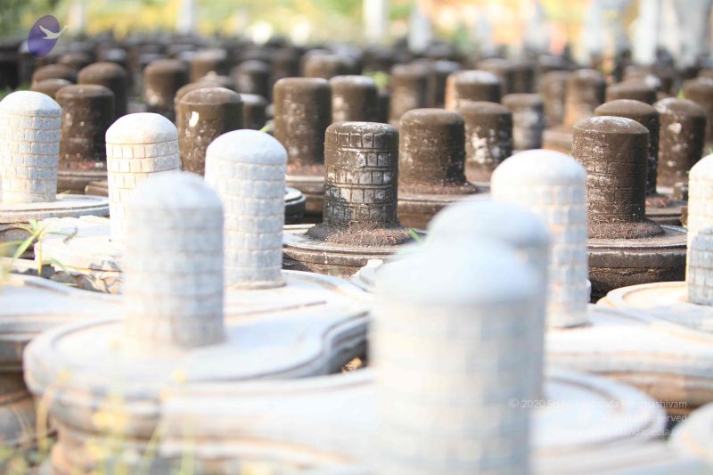 File:20130526 Photo 1162 1suRep0k1Cj6zGq LIrDNPC N2M4nqKO3.JPG