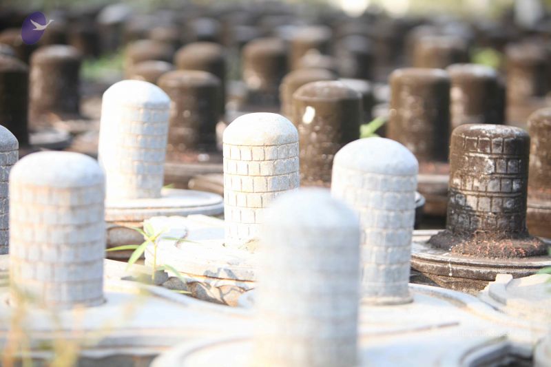 File:20130526 Photo 1163 1zns1mTWzWCJGWD0auJDx7LrQXOb3omjT.JPG