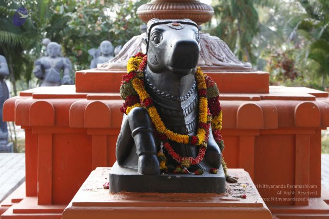 20130530 Photo 1002 1dPqtazhui2dxbySgj-mQGhoV9J5KFpQu.JPG