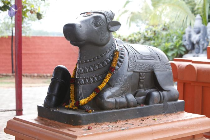 20130531 Photo 1023 1Z787 fQHU8gnnq0Zn-p6tpsz8455Qizh.JPG