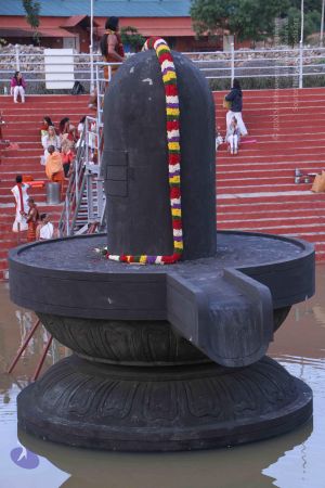 20130603 Photo 1000 1Zk1WHnF74m-aPC6X2gyTIohUEjZ1j8Gc.JPG