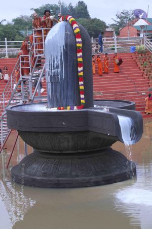 20130603 Photo 1005 15y nT9CUSDxfnu5VwScGEY2RnsH sKXC.JPG