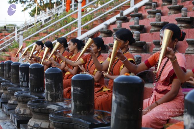 20130604 Photo 1153 1pOLO80mVaOuwNcFTzCgEY5QoXfi4QqMK.JPG