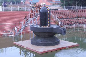 20130605 Photo 1063 1R9e--dLsA-Km9v6fbrryWupZ8PLslQva.JPG