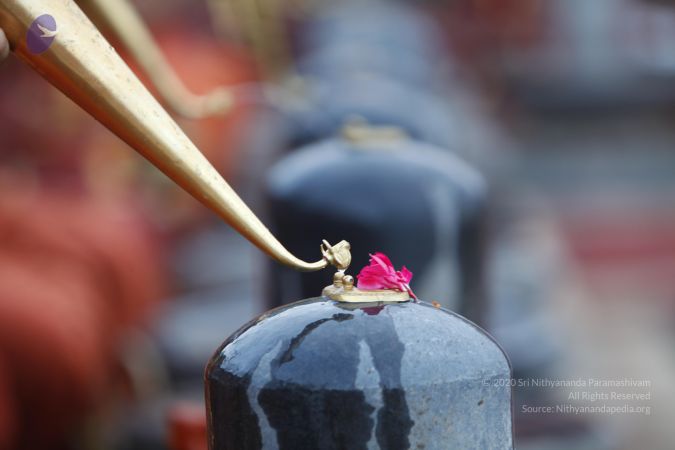 20130606 Photo 1024 1CgiKn89LwBIFTCdxa MdCIccDZNfTKek.JPG