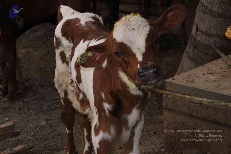 File:20130608 Photo 1054 1rMlMpISYyt019SD3SPrzeziVAlAhhzQs.JPG