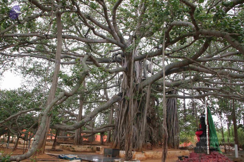 File:20130608 Photo 1084 1MyhnSYHxQ9XaMlHqE2vbwXuIeb Le7FZ.JPG