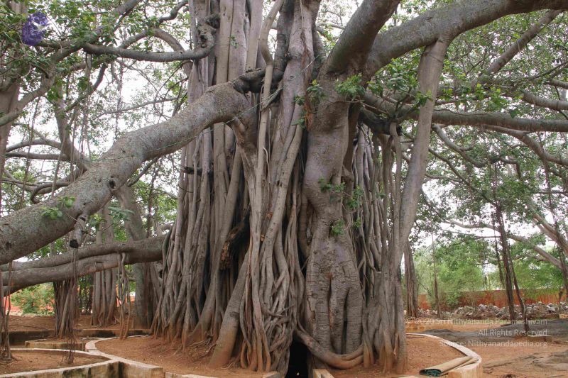 File:20130608 Photo 1092 1x5jb83hXVBUHNduRG2K2pedKrmPssqoq.JPG