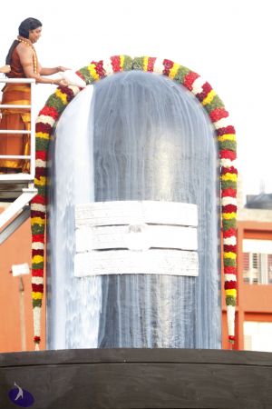 20130610 Photo 1077 1oJhn7f453-4 ayU An9IgqiLVV1jGdl4.JPG