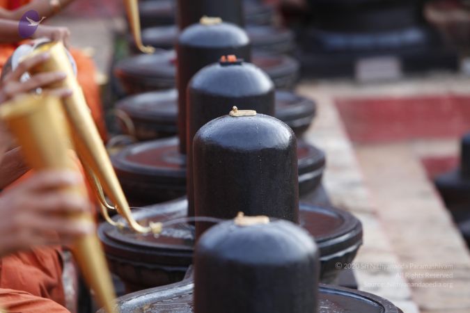 20130610 Photo 1133 1bbxo-l1getwFE000anRZCwujcb7qI3u8.JPG