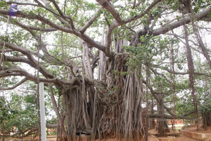 20130611 Photo 1021 16Y0-bKR81N9i9E-75jNBxhBhgvDxL12y.JPG