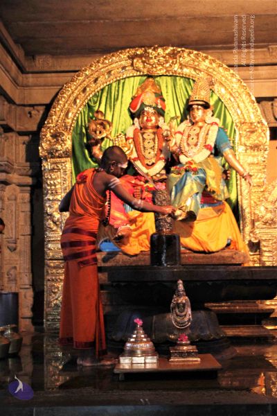 File:20130613 Photo 1004 138Yqr1VXxA- --jE0M4YGCmYaZI96pRI.JPG