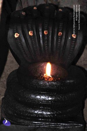 20130613 Photo 1022 1qCEsHo4 vWKAIUIeSi-s35wjcRoKPujr.JPG