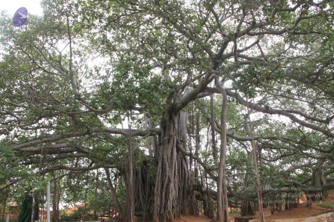 20130614 Photo 1074 1nc7IFOBk5tneoHRR4TgA-v4uLl1emlxX.JPG