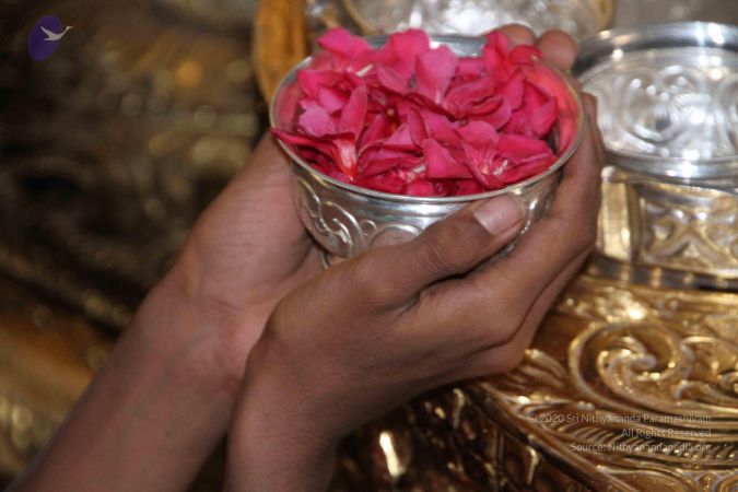 20130618 Photo 1012 1G7LlYZDGMafqOXOb4vRibFu6i qGegNl.JPG