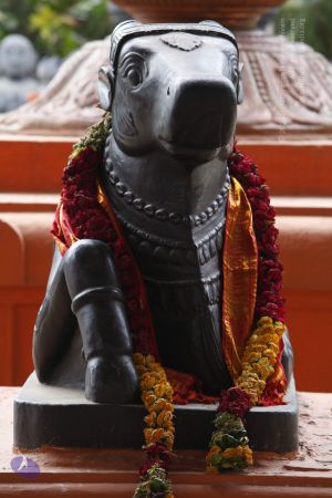 20130619 Photo 1002 15uzuP2PSBotNPhe6wqbOON7vhCerrcqS.JPG