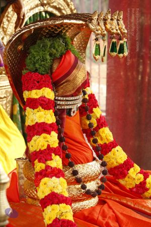 20130620 Photo 1010 14 pE4wBqD7Q7xyycVc42VShJjI7yMGpP.JPG