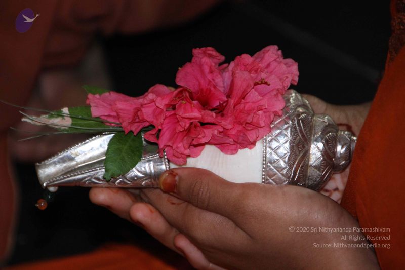 File:20130621 Photo 1019 1iNO1Yv6bWh-Y0eklrZU6cu9hncsl4geP.JPG