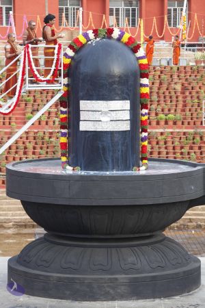 20130624 Photo 1024 1oX0KaU09VCdIfhxfdq7kxOa3ZgxTHc26.JPG