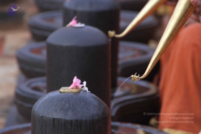 20130624 Photo 1088 17PNkviX9Zo9lDLfvPGN3WxHCgrpznftY.JPG