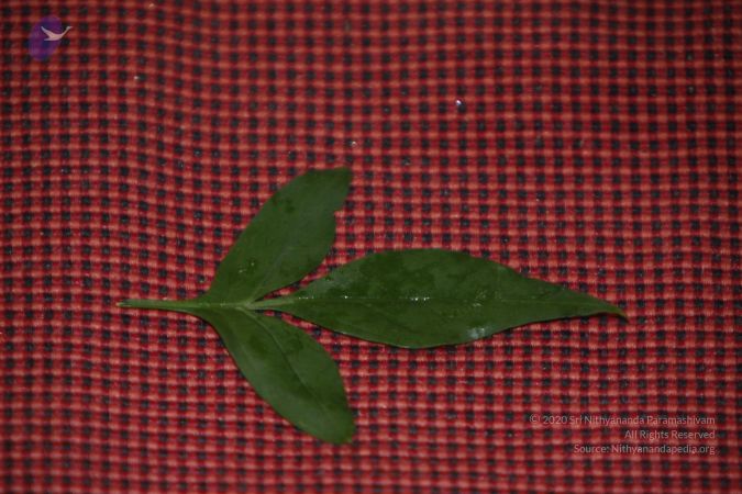 20130624 Photo 1215 1LH-gOwx55WhzUINwCGehDSz7p3c3hsy8.JPG