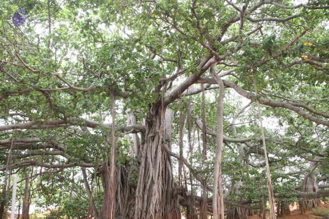 20130624 Photo 1276 1ceXG0oEoJ3ZiONh woD8KJY90QnF-NZi.JPG